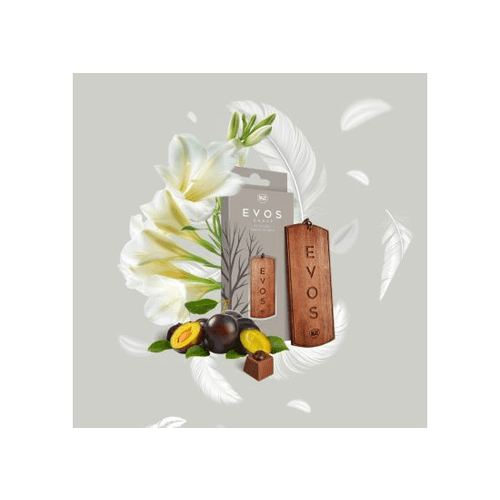 K2 EVOS Grace Angel Wooden Car Air Freshener