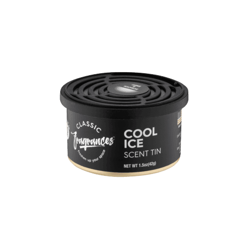 Designer Fragrances Kvapas Skardinėje - Cool Ice